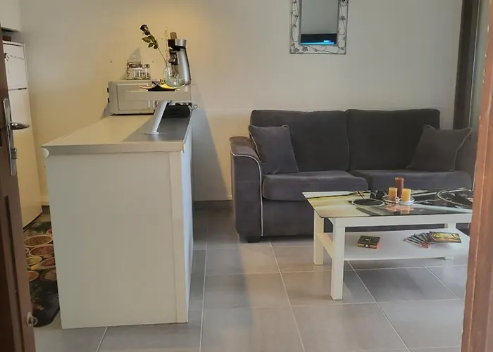 Bel Appartement A 300 Metres De La Plage +Parking